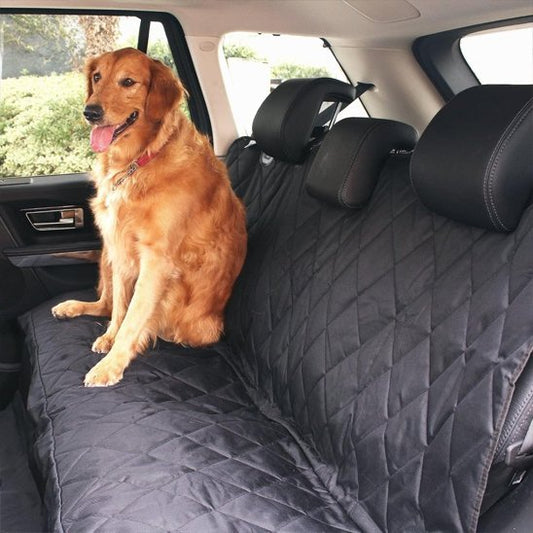 Protection Voiture Chien | Voyage serein