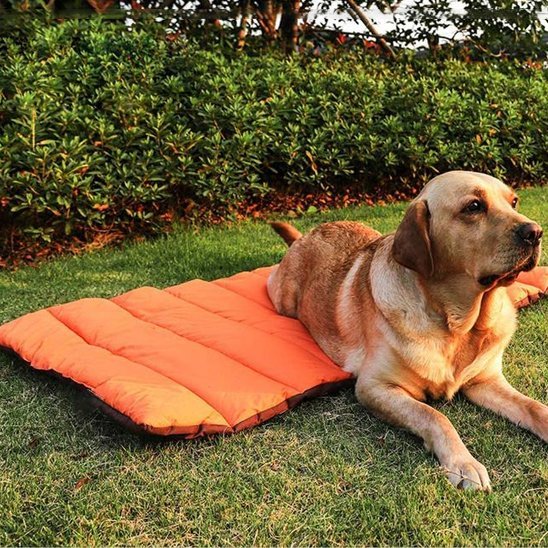 Tapis pour chien | Confort Lavable