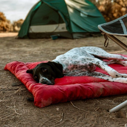Lit de camp pour chien | Nomad Pet