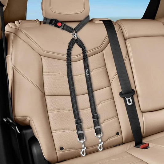 Double laisse pour chien | Duo Polyvalent