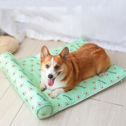 Tapis rafraichissant chien | CoolPet