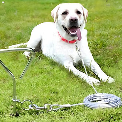 Laisse chien | Câble Acier
