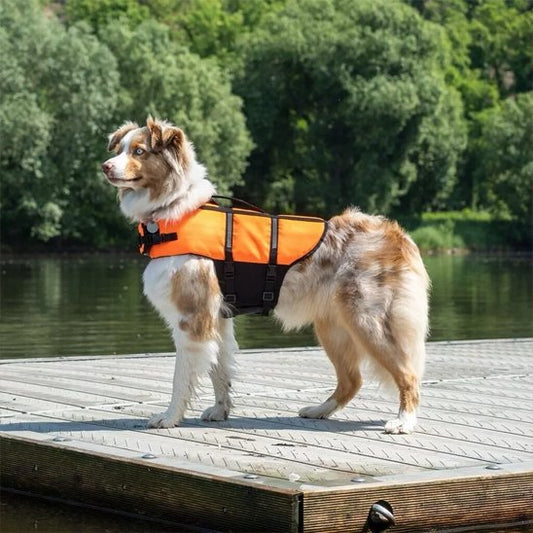 Gilet de sauvetage Chien | SafeAqua