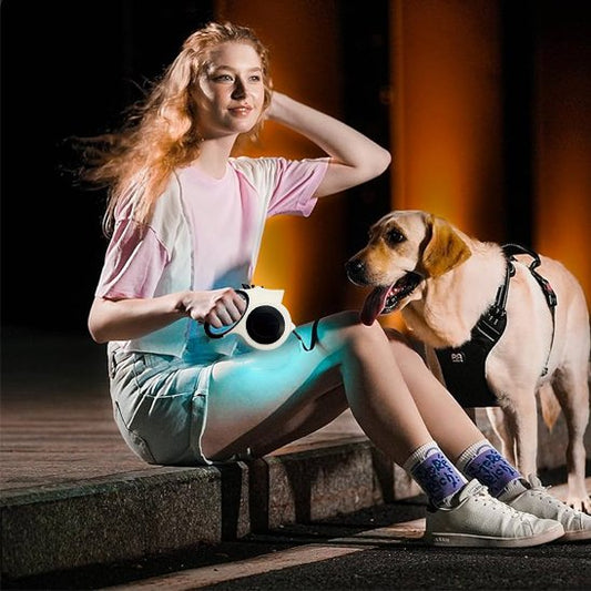 Laisse pour chien | Innovation Lumière