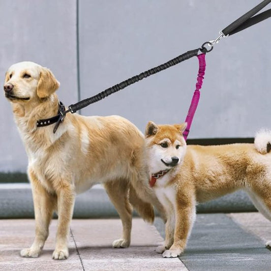 Laisse double pour chien | EasyDuo