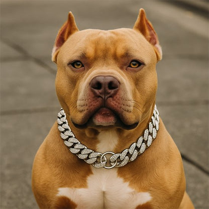Collier pour chien | Urban Luxe