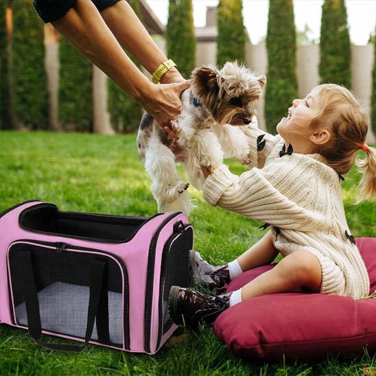 Sac de Transport Chien | VentilaPaws Transport