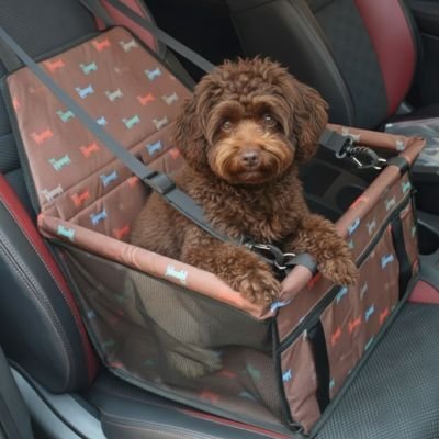 Siege auto pour chien | Sécurité Premium