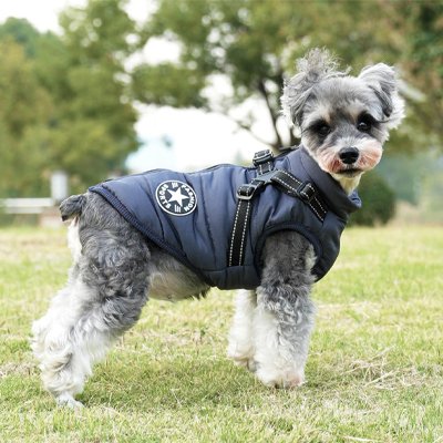 Manteau Chien | Fashion Guard