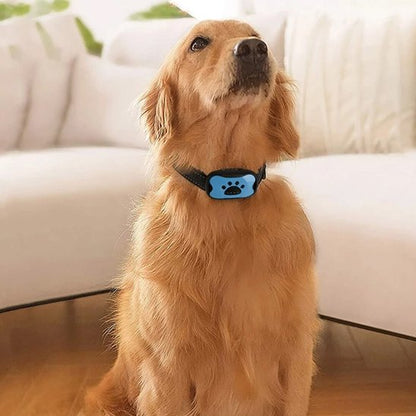 Collier de dressage pour Chien | Sérénité Sonore