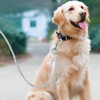 Laisse chien | Câble Acier