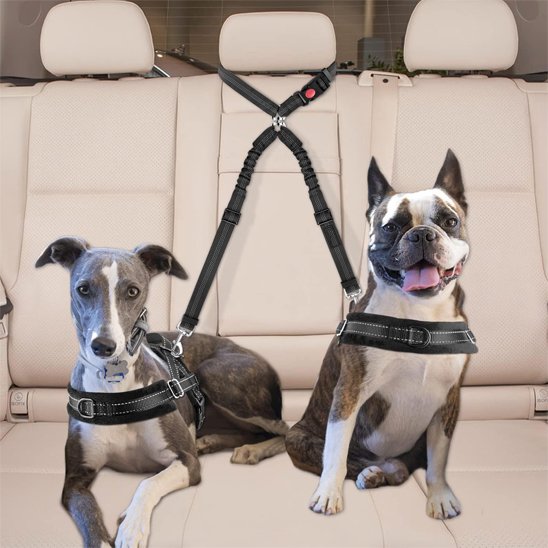 Double laisse pour chien | Duo Polyvalent