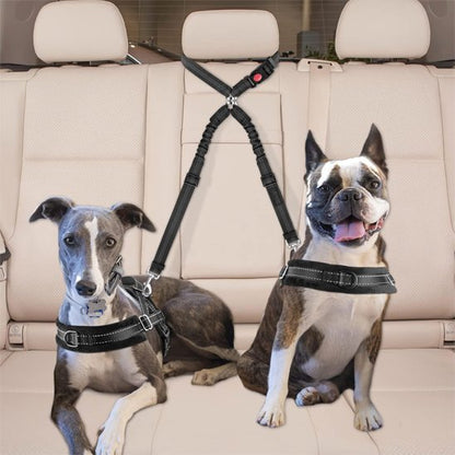 Double laisse pour chien | Duo Polyvalent
