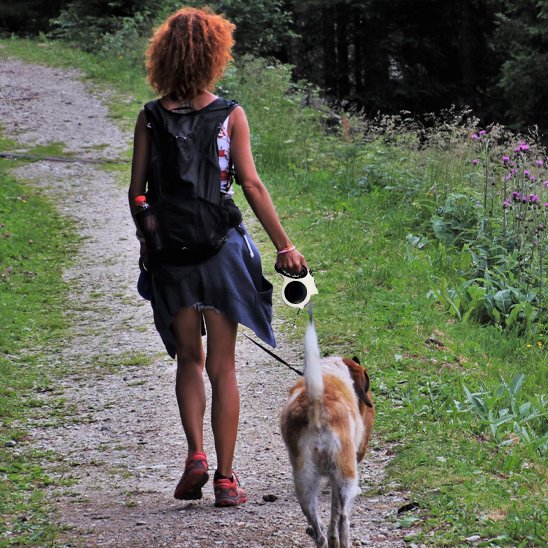 Laisse pour chien | Innovation Lumière