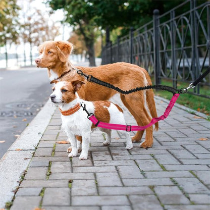 Laisse double pour chien | EasyDuo