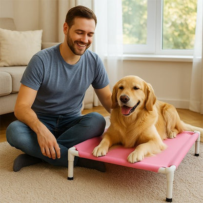 Lit de camp Chien | ComfortTravel