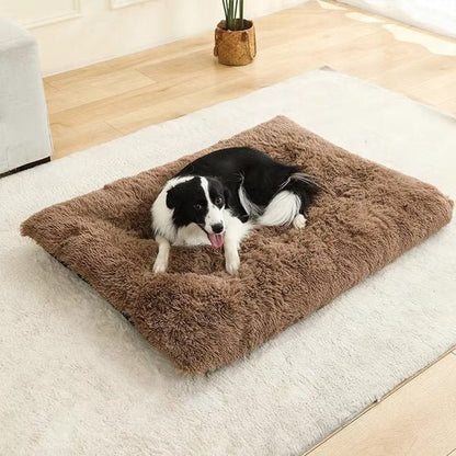 Coussin pour chien | ComfortElite