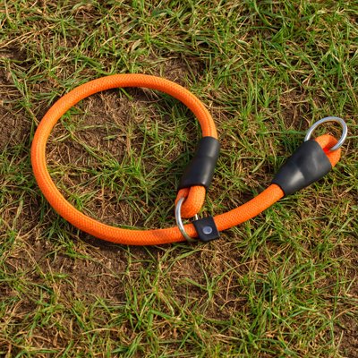 Collier pour chien | ForceDouce