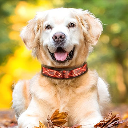 Collier lumineux chien | VisioNight