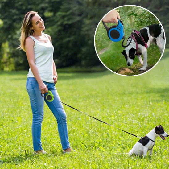 Laisse pour chien | FreedomLine