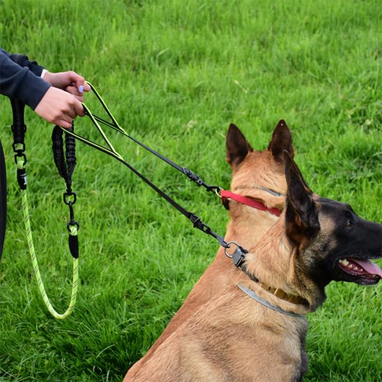 Double laisse pour chien | Twin Walk