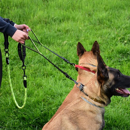 Double laisse pour chien | Twin Walk