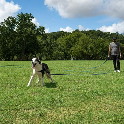 Laisse pour chien | Excellence Balade