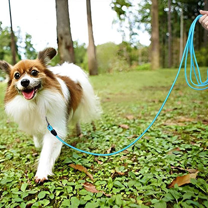Longe pour chien | FlexiLongueur