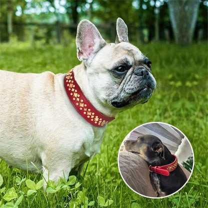 Collier chien | Élégance Clouté