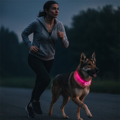Collier lumineux chien | Collier LED Sécurité Nocturne pour Chien