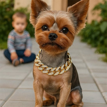 Collier pour chien | Urban Luxe