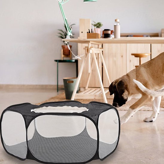Parc pour chien | Portable & Pliable