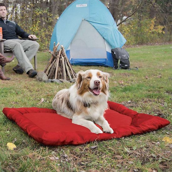 Lit de camp pour chien | Nomad Pet