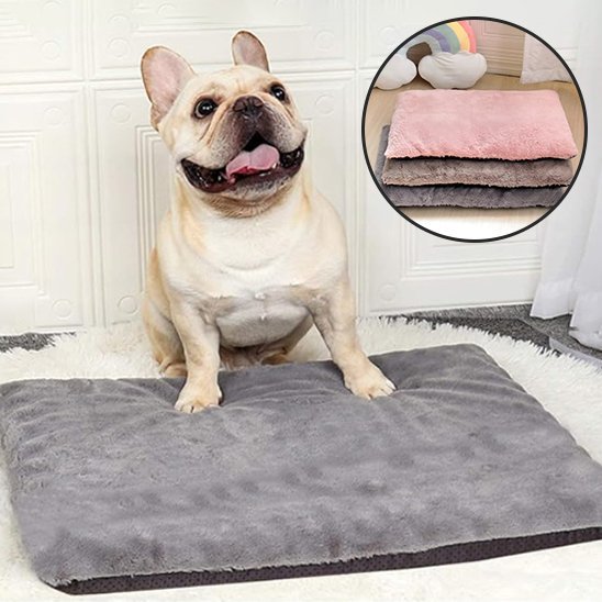 Tapis pour chien | Confort Peluche