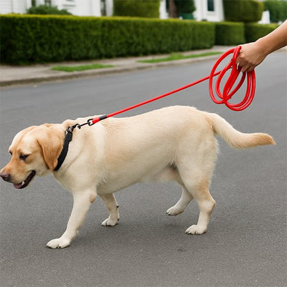Longe pour chien | LibertéMax