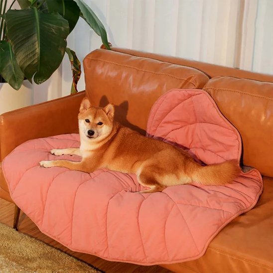 Tapis pour chien | Repos Royal pour Chien