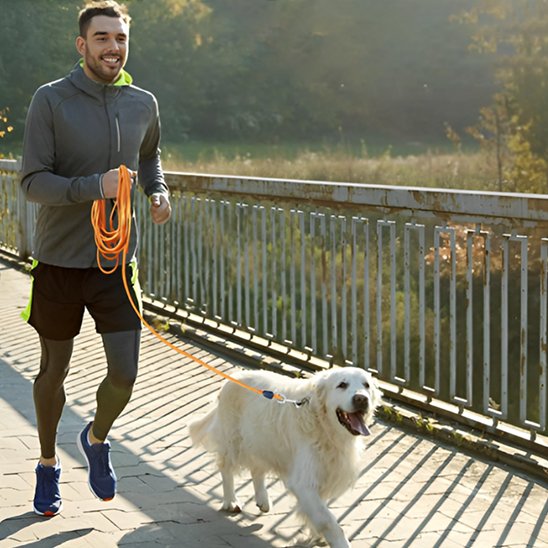Longe pour chien | FlexiLongueur