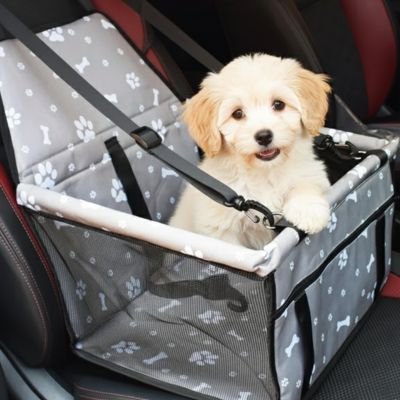 Siege auto pour chien | Sécurité Premium