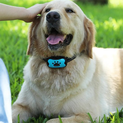 Collier de dressage pour Chien | Sérénité Sonore