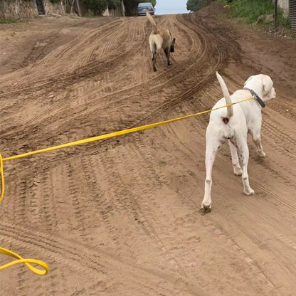 Laisse pour chien | Excellence Balade