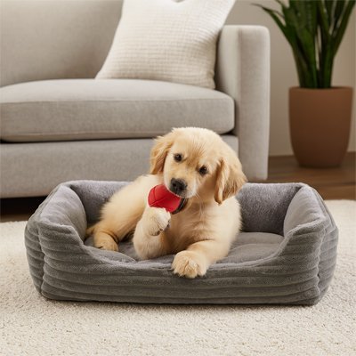 Coussin Chien | Confort canin