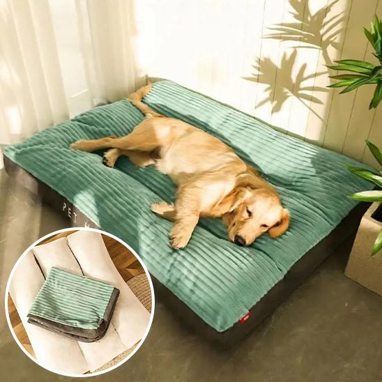 Coussin chien | Ultra-confortable