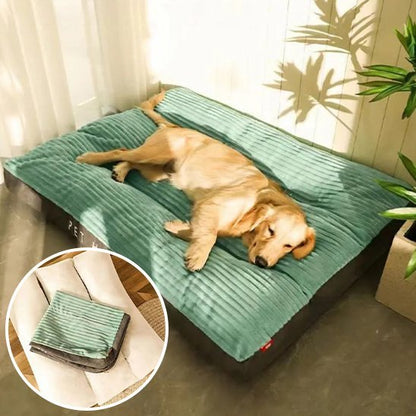 Coussin chien | Ultra-confortable