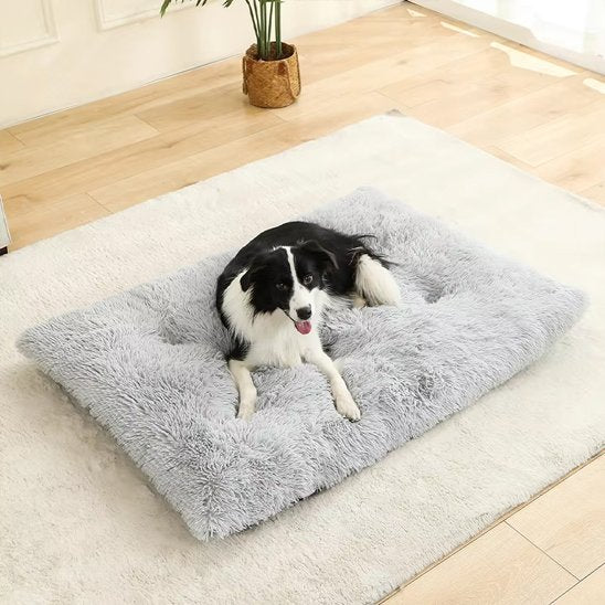 Coussin pour chien | ComfortElite