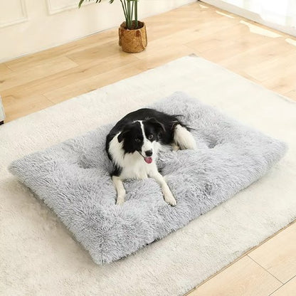 Coussin pour chien | ComfortElite