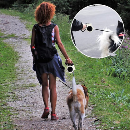 Laisse pour chien | Innovation Lumière
