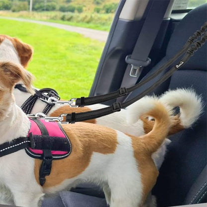 Double laisse pour chien | Duo Polyvalent