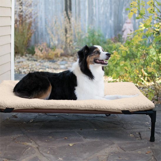 Lit pour chien surélevé | Orthopédique