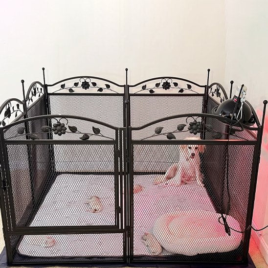 Parc pour chien | Parc Décoratif Premium pour Chien