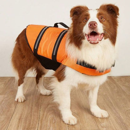 Gilet de sauvetage Chien | SafeAqua